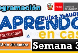 Aprendo en casa semana 37