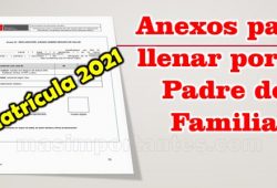 Anexos para ser llenados por el Padre de Familia en la Matrícula