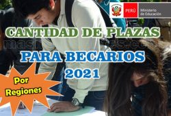 Cantidad de Plazas para Becarios Contratación Directa