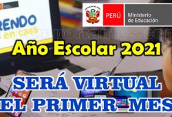 Año Escolar 2021 será virtual el primer mes