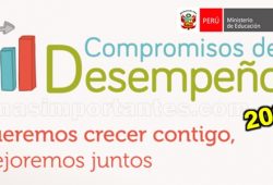 Compromisos de Desempeño para el 2021