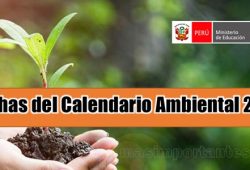 Fechas del calendario ambiental 2021