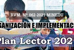 Implementación del Plan Lector 2021