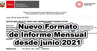 Nuevo Formato de Informe Mensual 2021