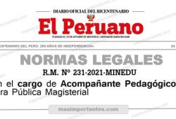 cargo acompañante pedagogico rm 231-2021-minedu