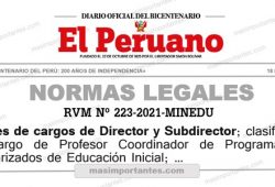 Perfil de los Directores