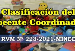 Clasificación del docente coordinador anexo 2 RVM Nº 223-2021-MINEDU