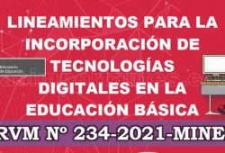 RVM Nº 234-2021-MINEDU