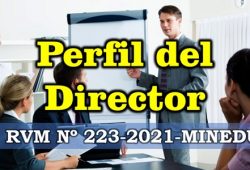 perfil del director RVM Nº 223-2021-MINEDU