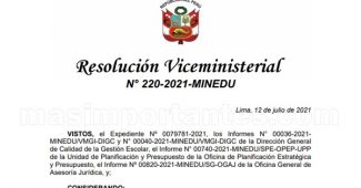 RVM Nº 220-2021-MINEDU