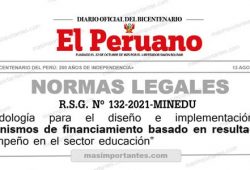 RSG-132-2021-MINEDU