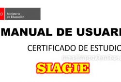 Manual de Usuario Certificado de Estudios