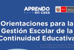 Orientaciones para la Gestión Escolar y Continuidad Educativa