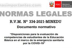 RVM Nº 334-2021-MINEDU
