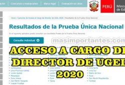 Resultados Examen a cargo de Director de Ugel 2020