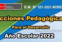 Acciones Pedagógicas para el Desarrollo del Año Escolar 2022