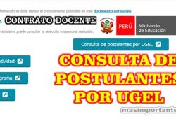 Docentes Postulantes por Ugel