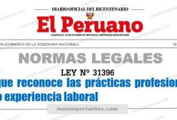 Ley Nº 31396