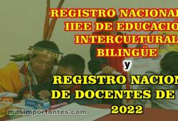 Registro Nacional de IIEE y Docentes de EIB