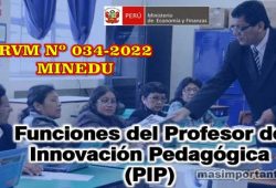 Funciones del Profesor de Innovación Pedagógica PIP