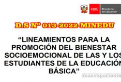 Promoción del Bienestar Socioemocional de los estudiantes