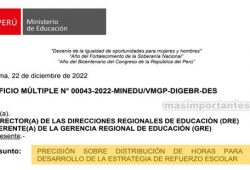 Horas de Refuerzo Escolar