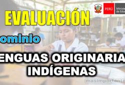Evaluación Dominio de Lenguas Originarias