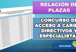 Plazas para el cocurso de directores y especialistas