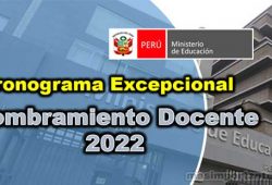 Cronograma excepcional Nombramiento 2022