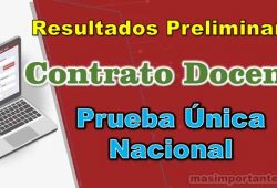 Resultados preliminares Contrato Docente PUN